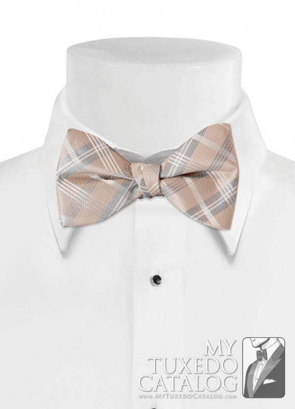 Biscotti 'Solid Plaid' Bow Tie